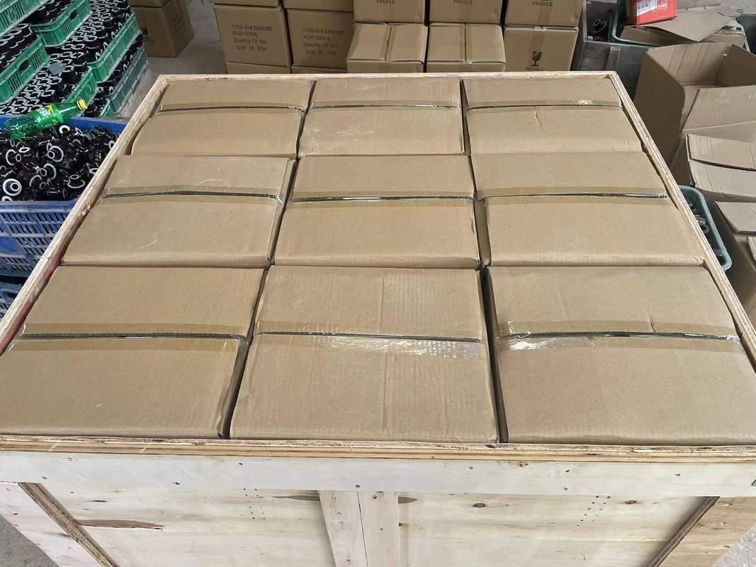 Τυποποιημένος 1kV 250A cOem δακτυλίων CD70MM πορσελάνης μετασχηματιστών DIN